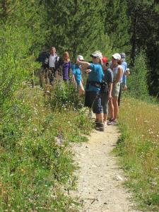 Hiking & Walking Tours in Vail / Beaver Creek